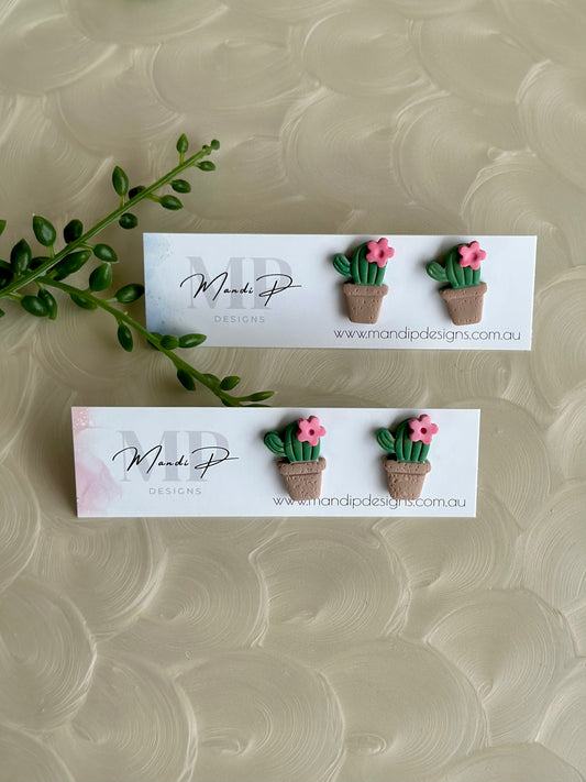 Cactus Stud | Argentine